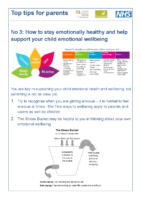 Parent/carer tip No3 – how to stay emotionally healthy_0Parent tip No4 – exam stress